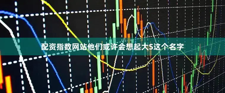 配资指数网站他们或许会想起大S这个名字