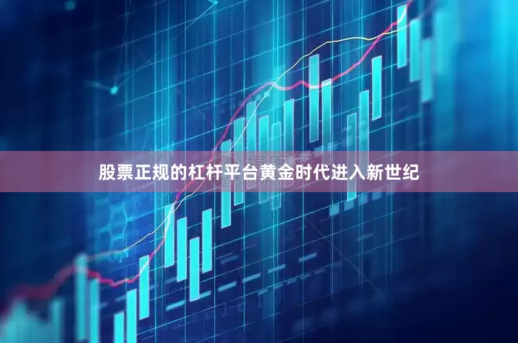 股票正规的杠杆平台　　黄金时代　　进入新世纪