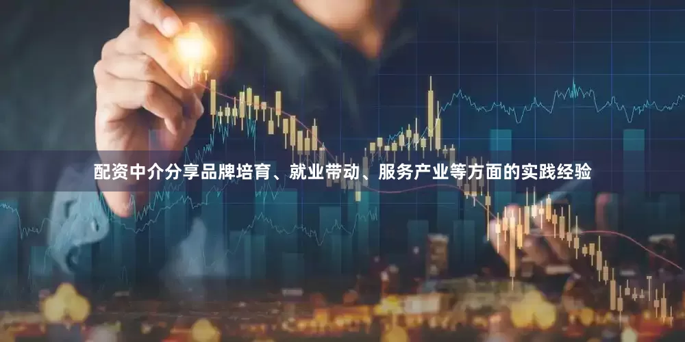 配资中介分享品牌培育、就业带动、服务产业等方面的实践经验